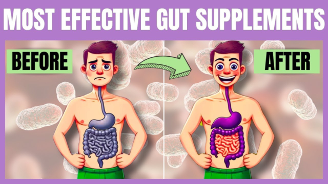 Discover the Best Dietary Supplements for Gut Health